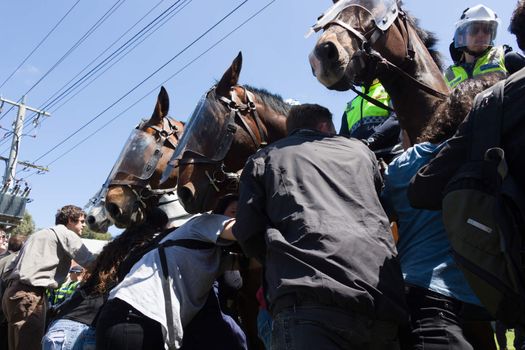 MELTON, VICTORIA/AUSTRALIA - NOVEMBER 2015: Anti Racism protesters violently clashed with reclaim australia groups rallying agsint Mulsim immigration.