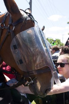 MELTON, VICTORIA/AUSTRALIA - NOVEMBER 2015: Anti Racism protesters violently clashed with reclaim australia groups rallying agsint Mulsim immigration.