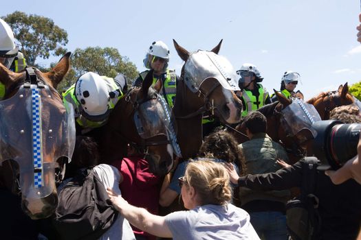 MELTON, VICTORIA/AUSTRALIA - NOVEMBER 2015: Anti Racism protesters violently clashed with reclaim australia groups rallying agsint Mulsim immigration.