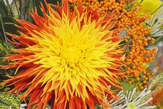 Flower Art