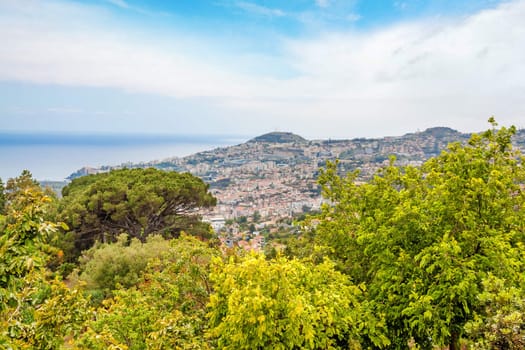 View over Funchal, Madeira, Portugal from botanical garden Jardim Botanico