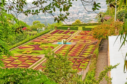 Funchal, Portugal - June 03, 2013: Botanical garden "Jardim Botanico" in Funchal, Madeira. A famous tourist destination on the island Madeira.