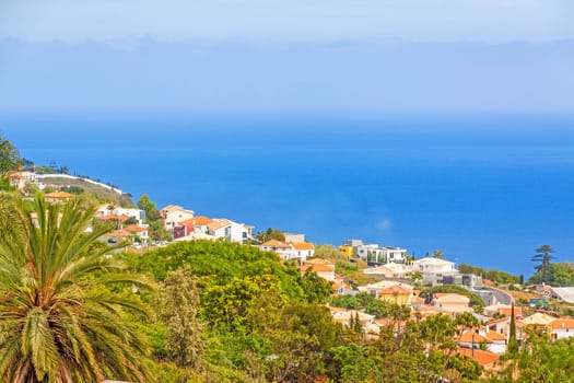 Madeira - coast of Funchal - palm trees and houses at hillside, Atlantic Ocean in the background