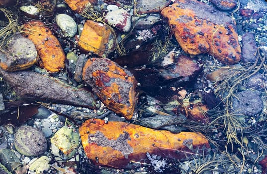 Small rocks and leaf on them on the beach