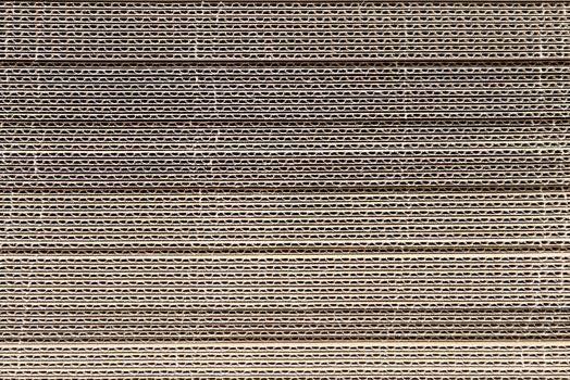 Corrugated cardboard texture