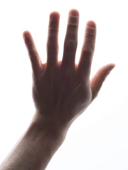 Humans hand on isolated white background, close up view