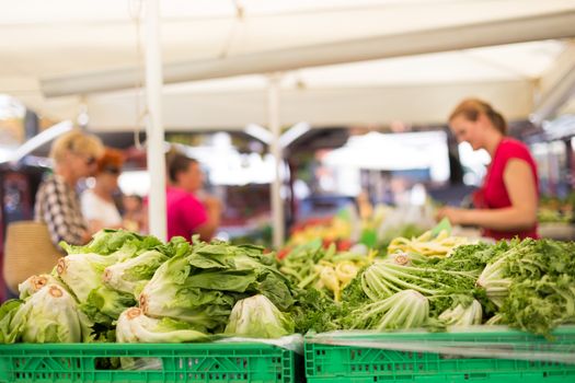 Farmers' food market stall with variety of organic vegetable. Vendor serving and chating with customers.