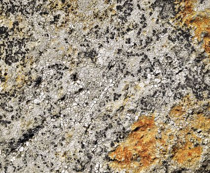 abstract background or texture cracked limestone texture