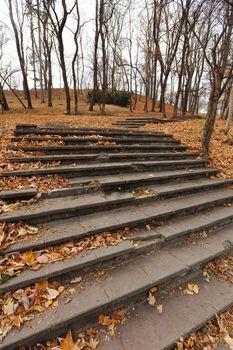 Stairs in the fall with  brown  leaves