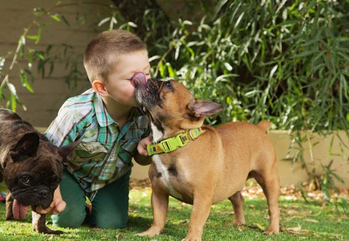 Bulldog licking a little boy's face outdoors