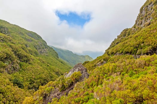 Madeira - green tropical natural landscape