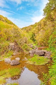 idyllic green tropical natural landscape