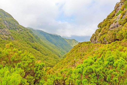 Madeira - green tropical natural landscape