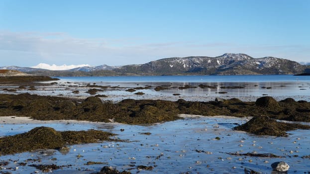 Fjærea, Landskap, bakrunnsfjell.