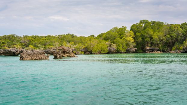 Seascape with background mangrove trees  on the tropical coast of Zanzibar island.