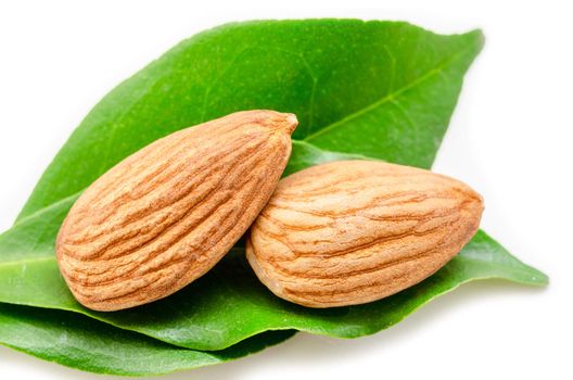 Almond and green leaf on white background.