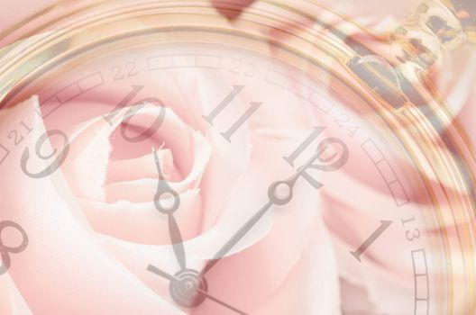 Composite of pink Roses and Clock. Love concept.