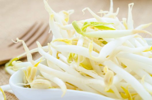 Mung bean sprouts in white cup on sack background.