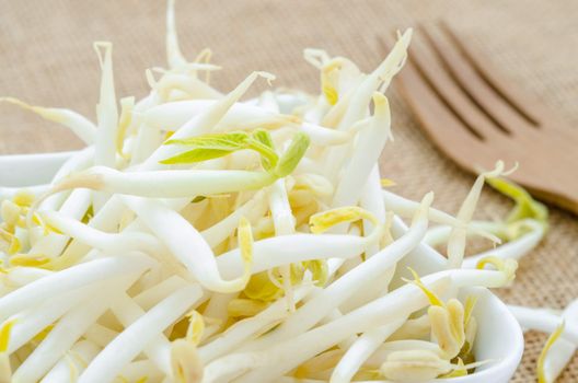 Mung bean sprouts in white cup on sack background