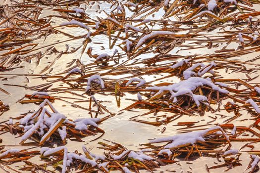 Winter Leaves Snow Ice Abstract Wenatchee River Stevens Pass Leavenworth Washington