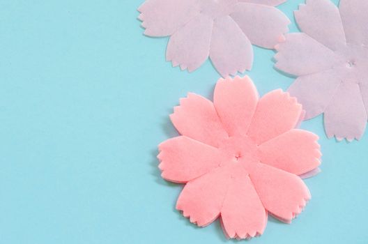 Pink color paper flowers on blue background.