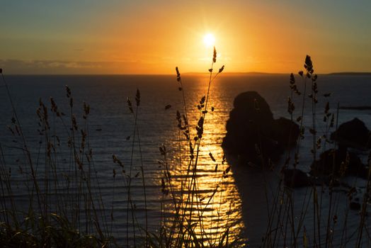 beautiful sunset over the virgin rock with wild tall grass on the wild atlantic way