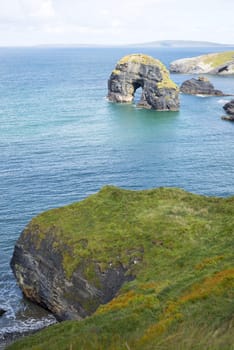beautiful views of the virgin rocks with wild tall grass on the wild atlantic way