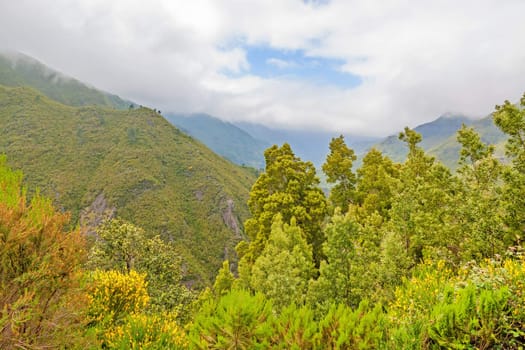 The magnificent inland of the island of Madeira