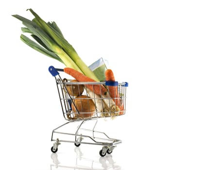 shopping basket with vegetables ingredients for the soup