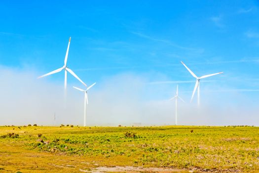 wind turbines in natural landscape - green meadow
