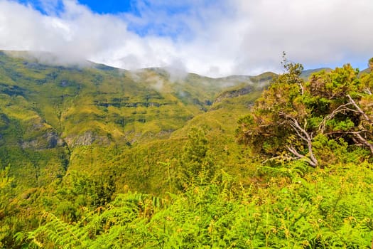 The magnificent inland of the island of Madeira