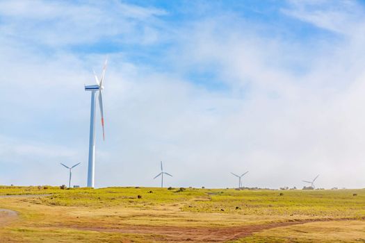 wind turbines in natural landscape - green meadow
