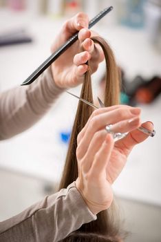 Close-up of a hairdresser cutting the hair of a woman. 