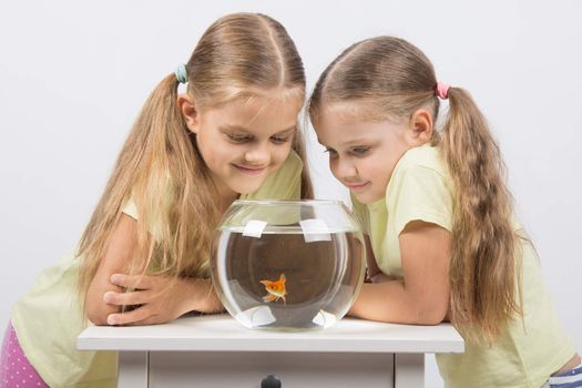 Two happy girls four and six years are at the table on which stands a fishbowl with goldfish