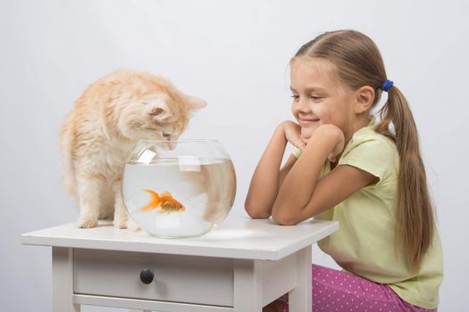 Happy six year old girl and a cat sitting at the table at the fishbowl with goldfish