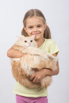 Six year old girl is holding adult domestic cat