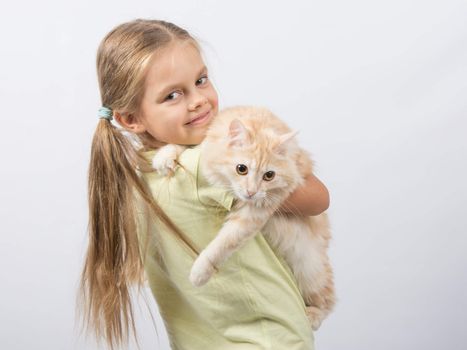 Six year old girl is holding adult domestic cat