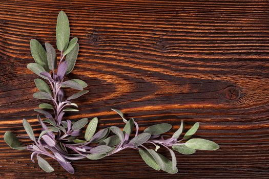 Sage herb on brown wooden rustic background with copy space. Alternative herbal medicine background with copy space.