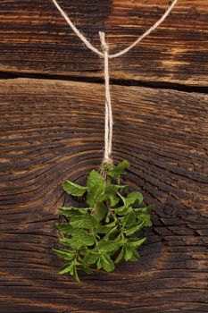Fresh mentha hanging on rustic wooden background. Culinary aromatic herbs.