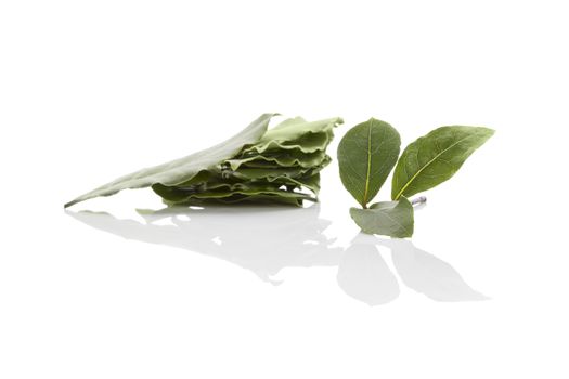 Bay leaves isolated on white background. Culinary herb, cooking ingredient and medical herb. 