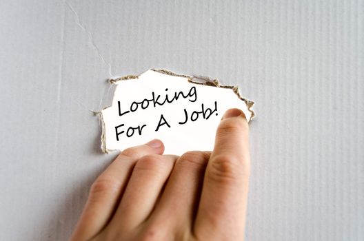 Looking for a job text concept isolated over white background