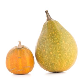 Pumpkins isolated on white background