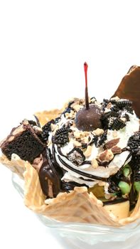delicious ice cream scoops with wafer bowl