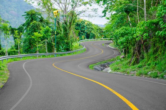 An empty S-Curved road on skyline drive.