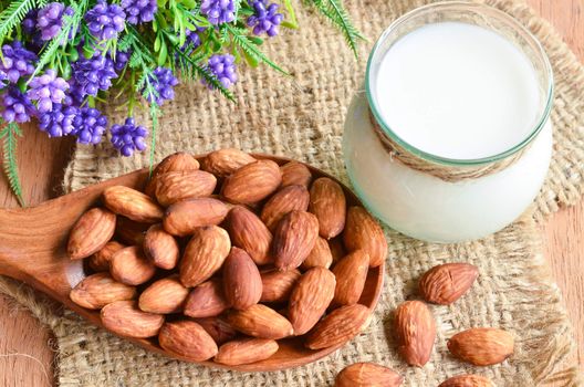 almonds in wooden spoon and almonds milk with flower on sack background.