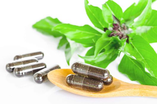 black herb capsule with wooden spoon and leaf on white background.