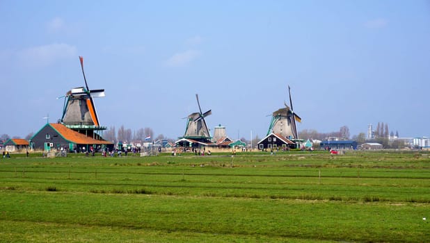 Landscape of windmills and field in holland