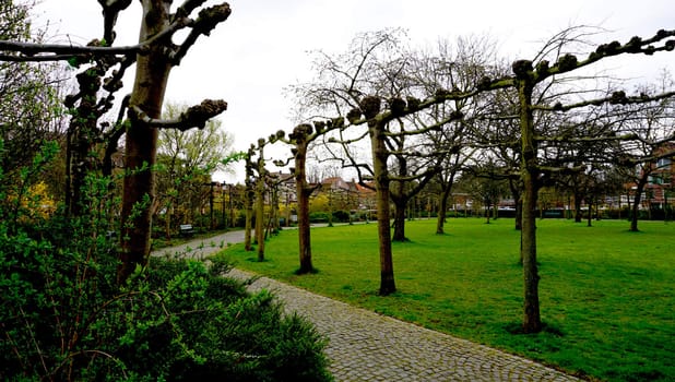 park in Bruges, Belgium