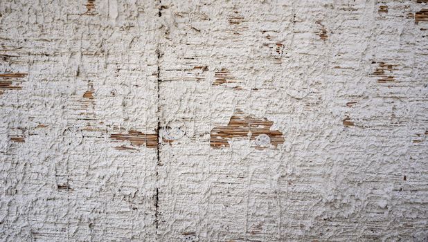 reed texture on clay wall finishing by white lime