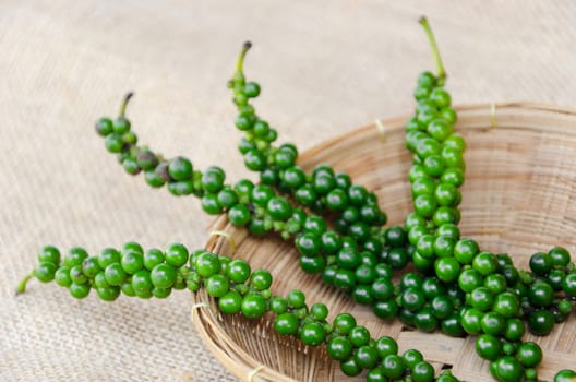 Fresh green pepper in weave basket on sack background.